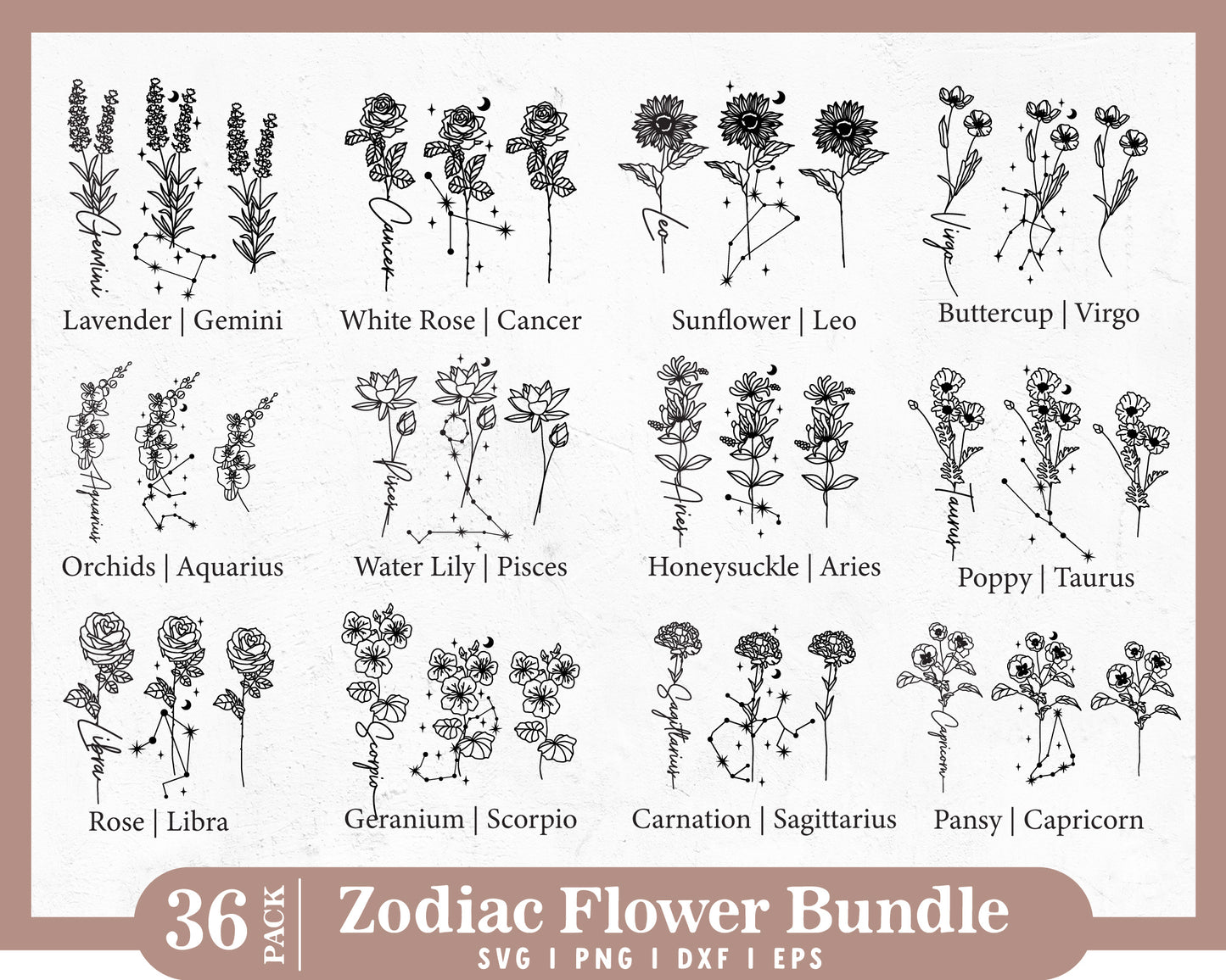 Zodiac Flower SVG Bundle | Birth Month Flower SVG Bundle