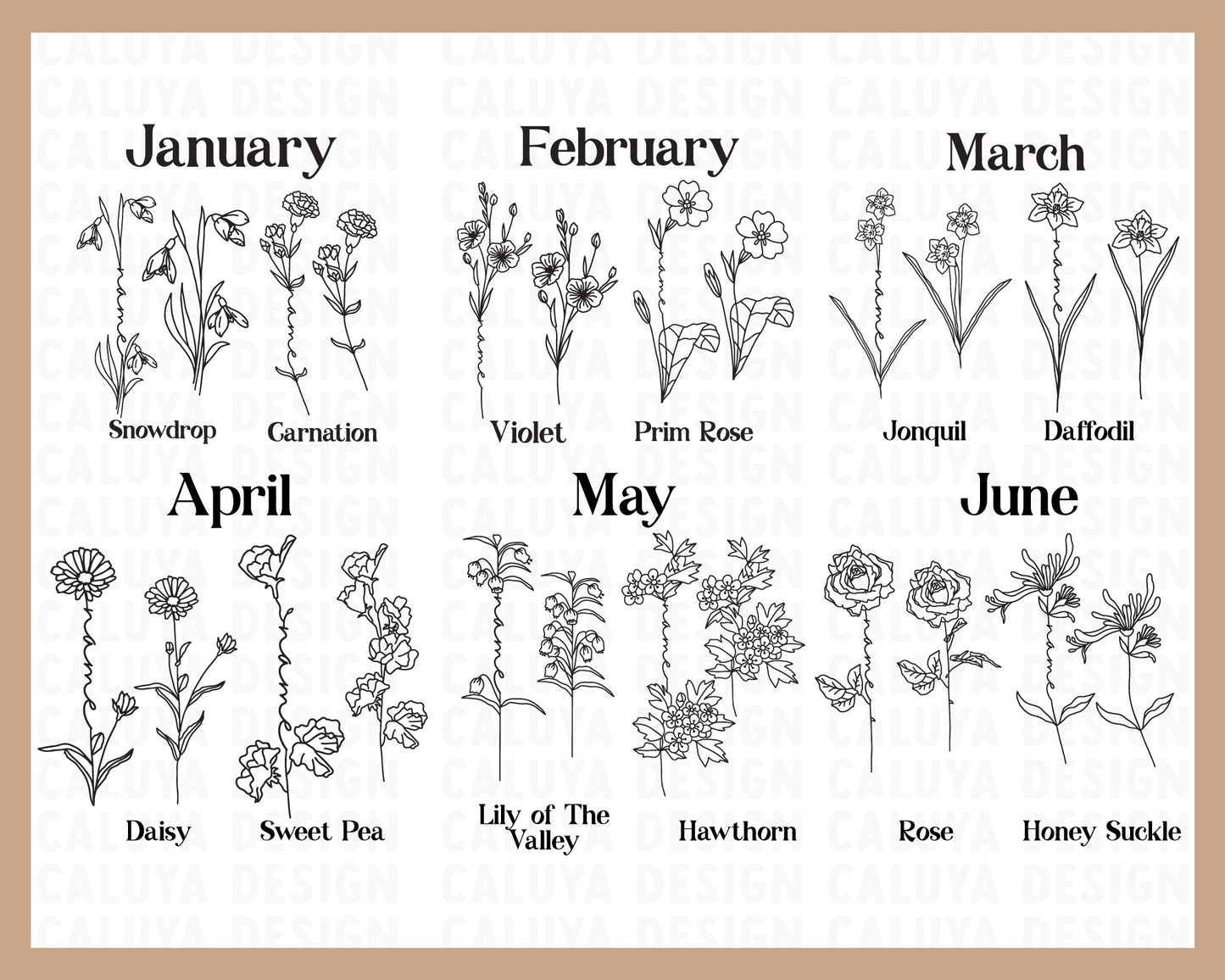 Birth Flower Bundle | Single Stem & Split Stem Pack