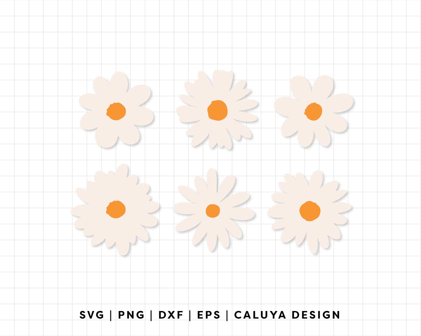 FREE Daisy Flower SVG | Simple Daisy SVG
