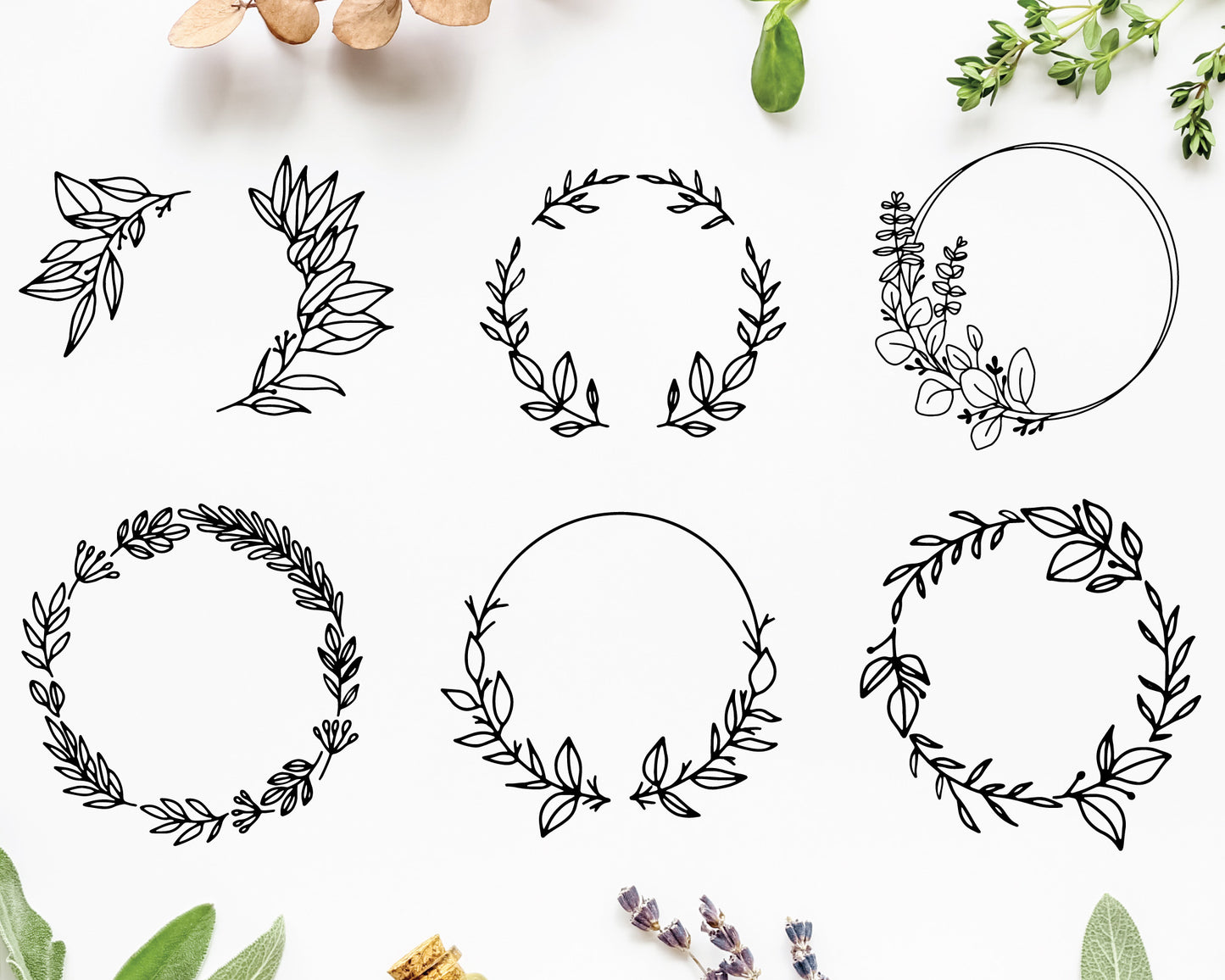 Hand-Drawn Wreath Frame SVG Bundle