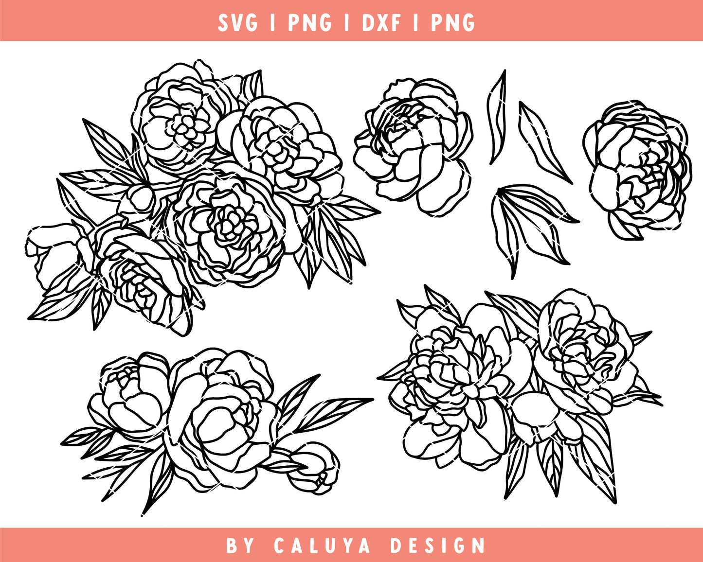 Hand-drawn Peony SVG Mini Bundle