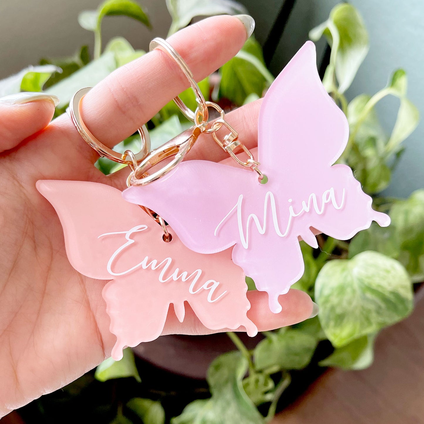 Butterfly Acrylic Blank