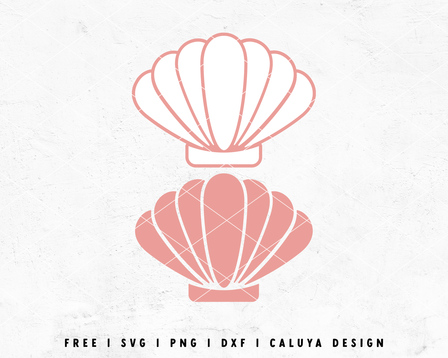 FREE Shell SVG | Beach SVG