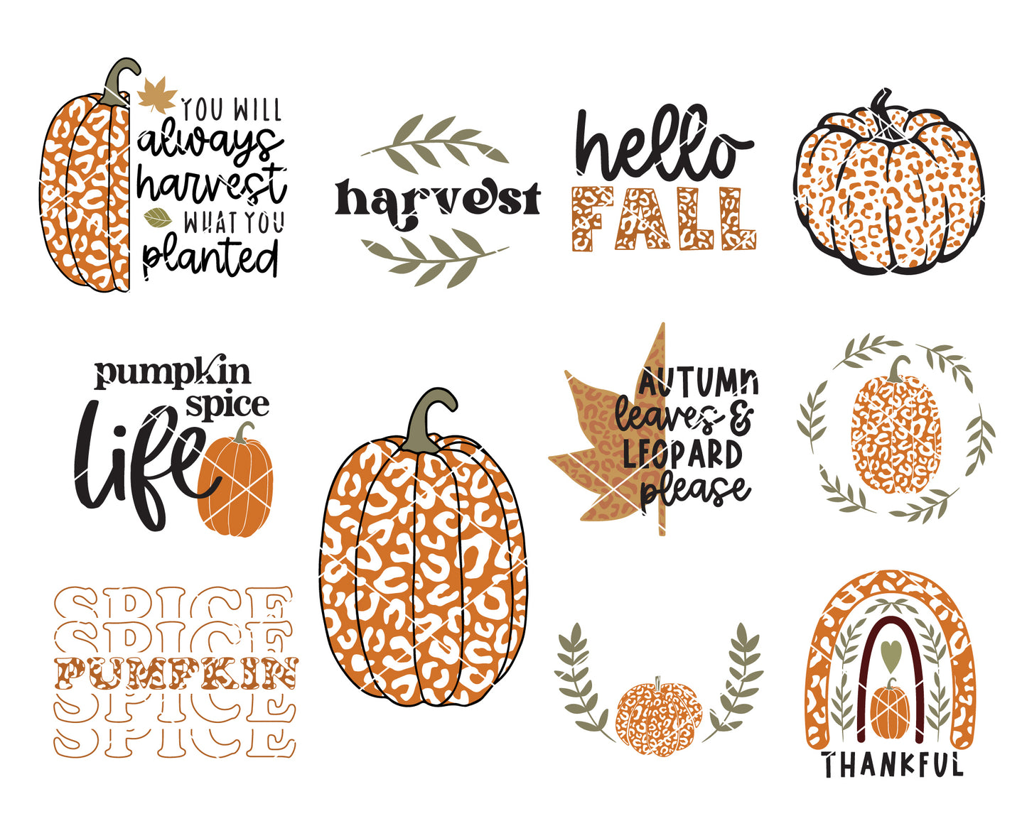 Leopard Fall Pumpkin SVG Bundle