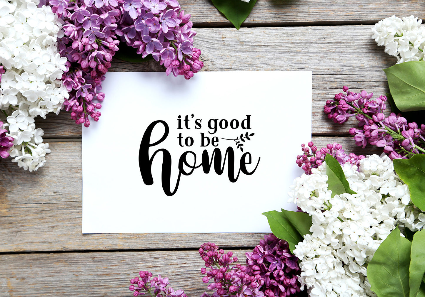 Family Quote SVG Bundle | 25 Pack