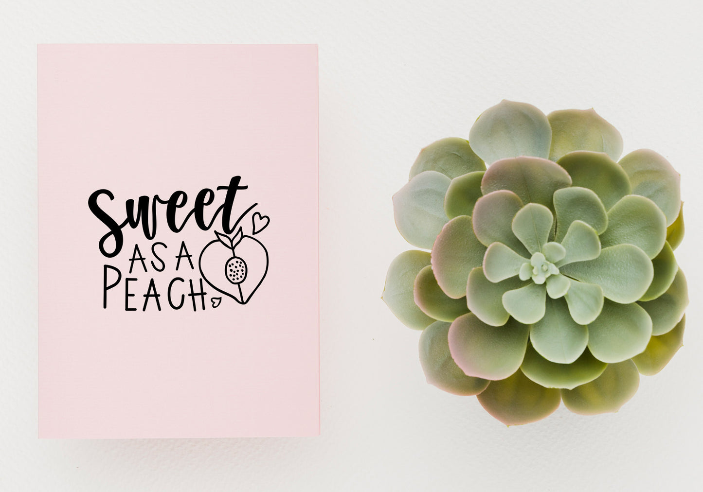 Funny & Cute Quote SVG Bundle | 20 Pack