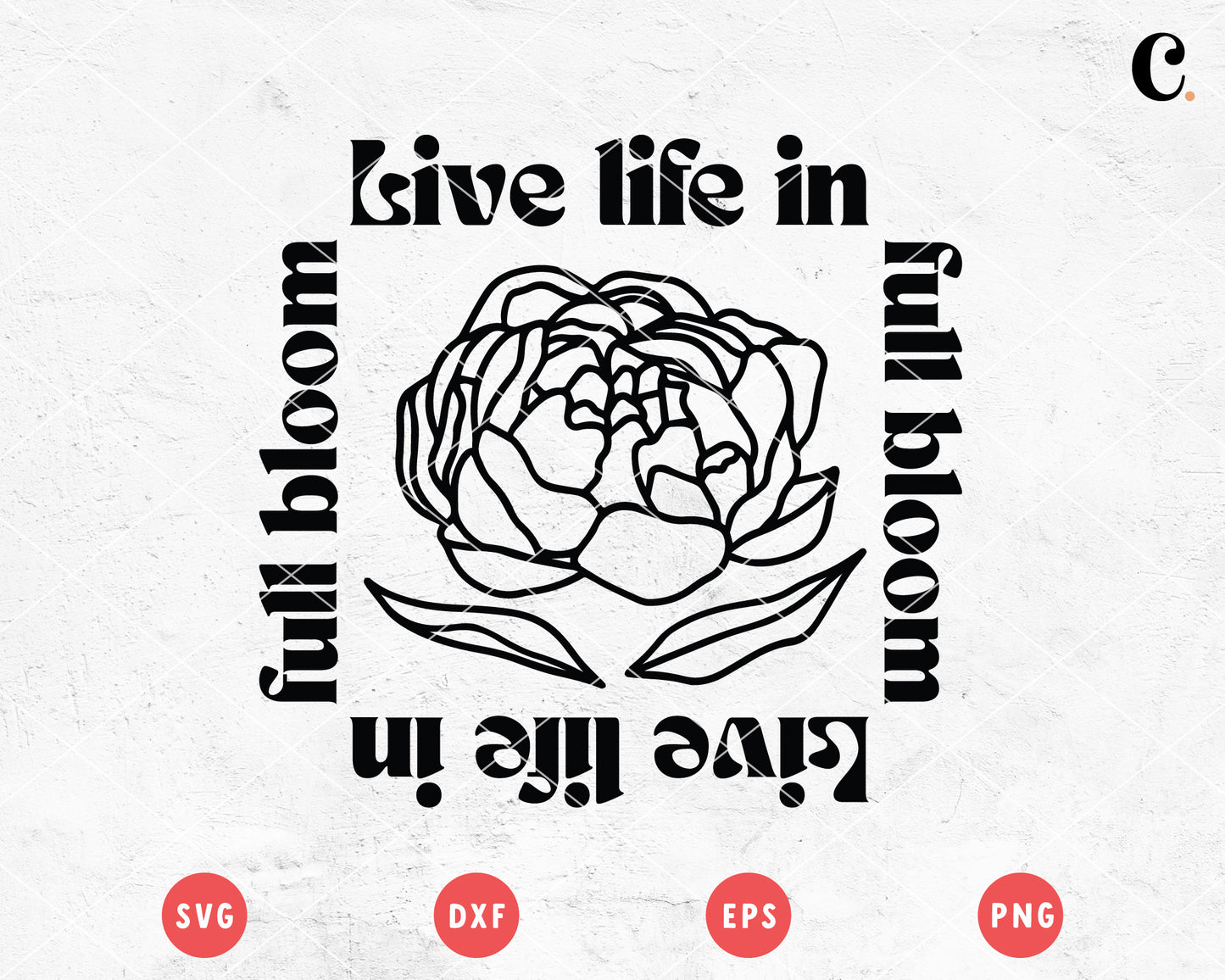 Boho Flower SVG | Live Life In Full Bloom