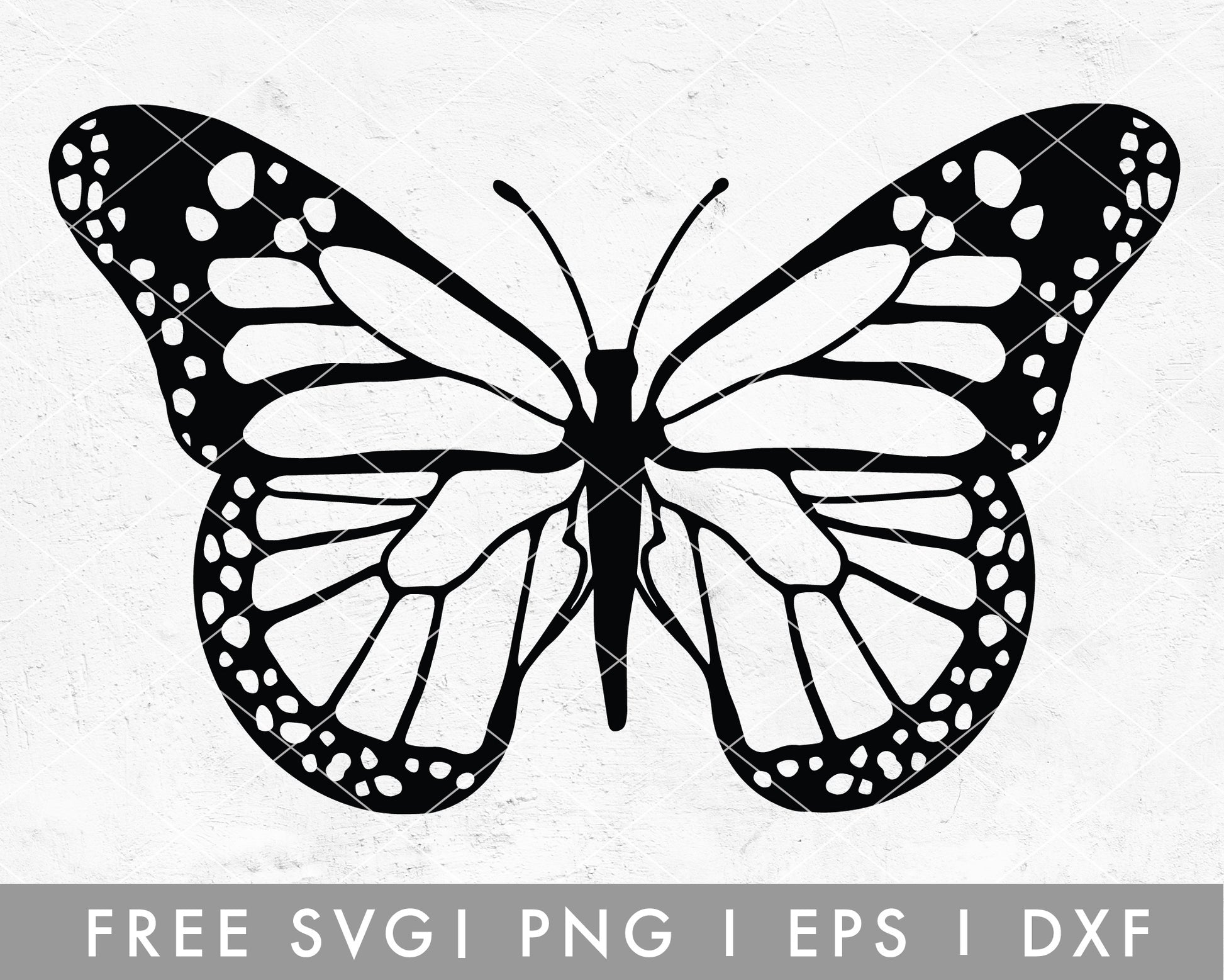 FREE Butterfly SVG | Hand Drawn Cut File for Cricut, Cameo Silhouette | Free SVG Cut File