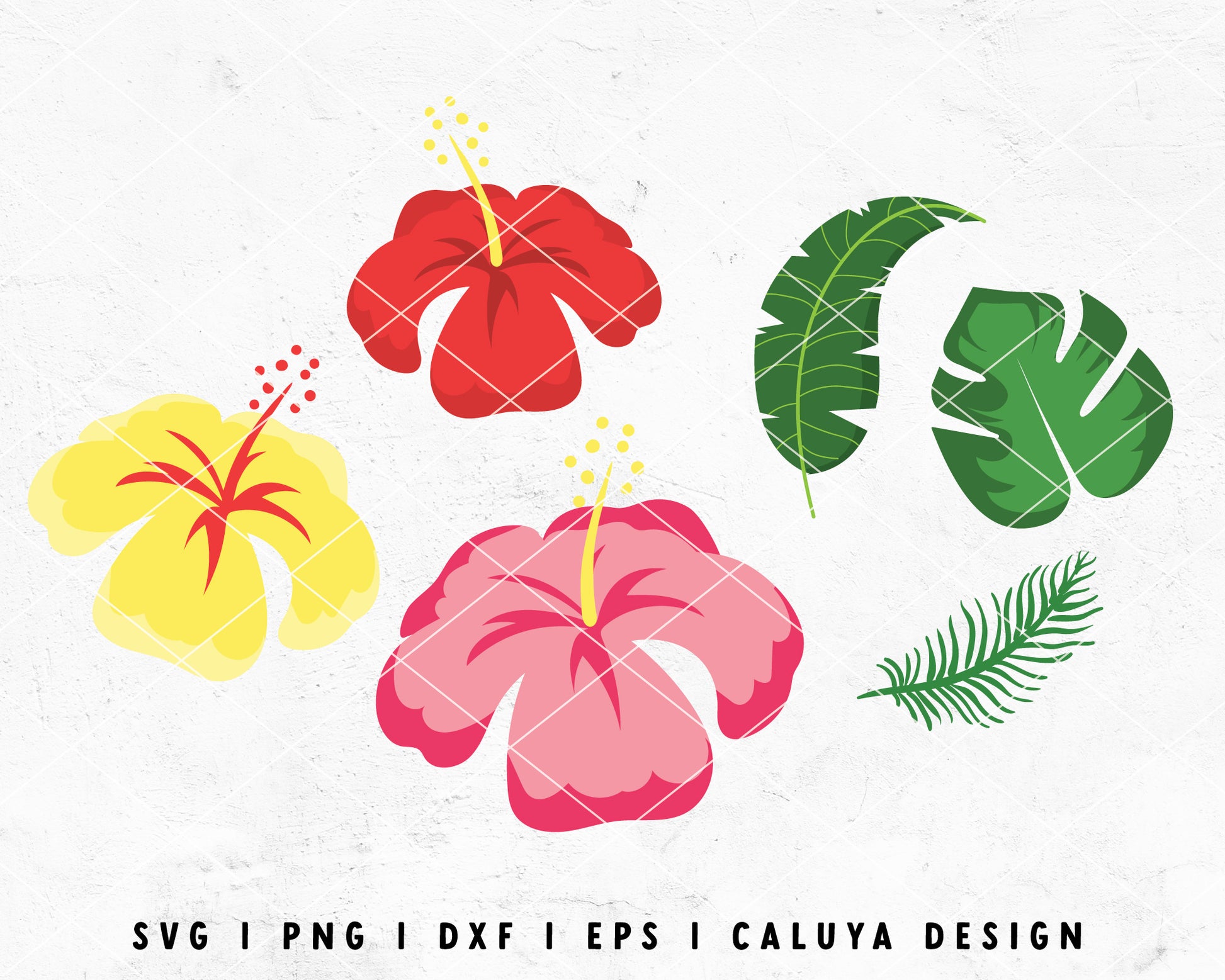 FREE Hibiscus SVG | Tropical Flower SVG Cut File for Cricut, Cameo Silhouette | Free SVG Cut File