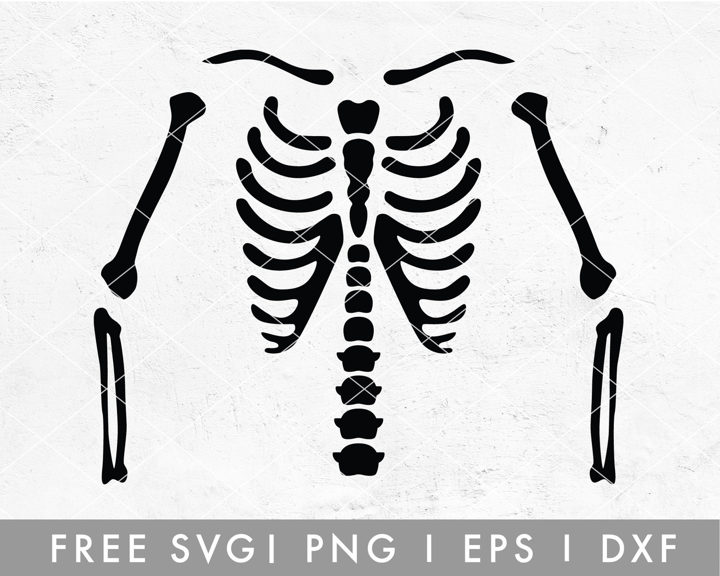 FREE Skeleton T-shirt Making SVG Cut File for Cricut, Cameo Silhouette