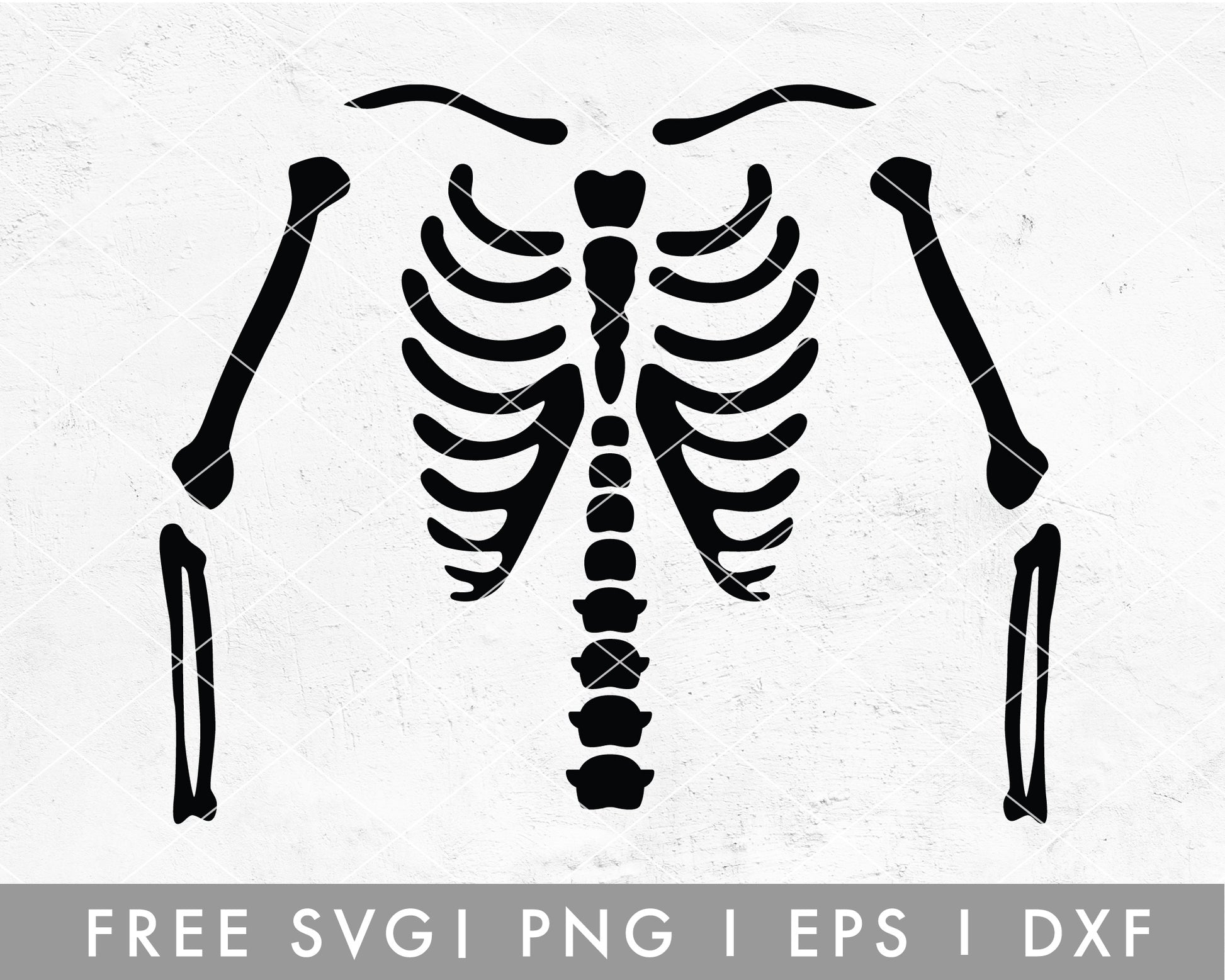 FREE Skeleton T-shirt Making SVG Cut File for Cricut, Cameo Silhouette