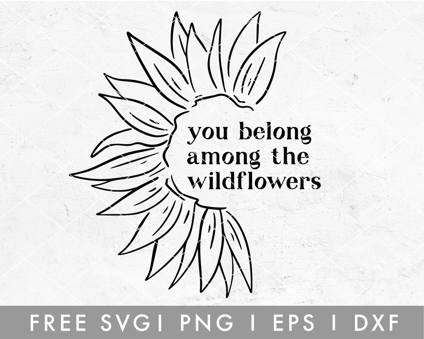 FREE You Belong Among The Wildflowers SVG Cut File for Cricut, Cameo Silhouette