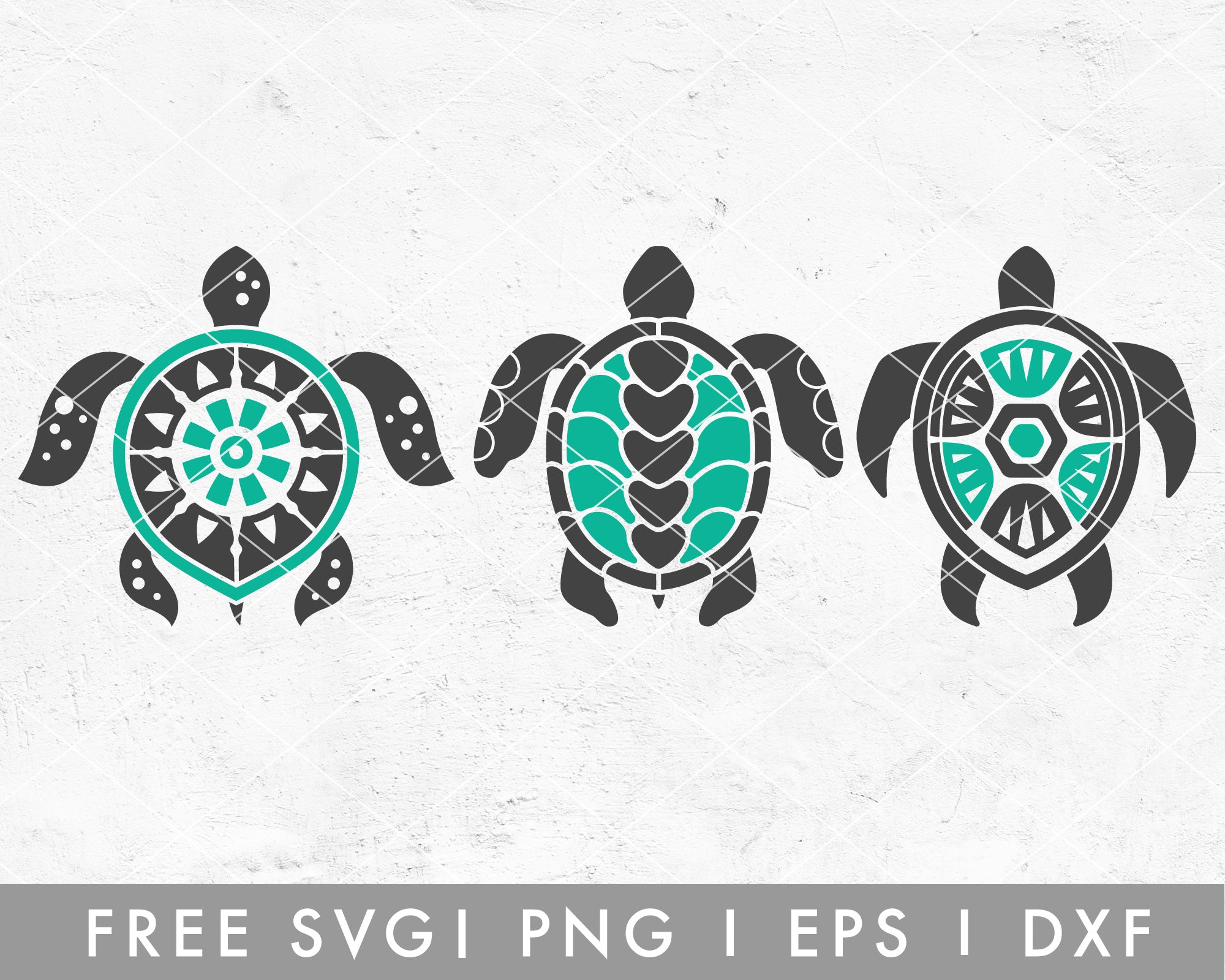 Turtle SVG Turtle Shirt Svg Turtle Costume Svg Tortoise -  Israel