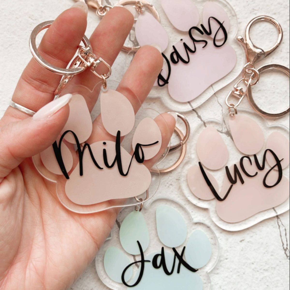 Dog Paw Blank | With Discount