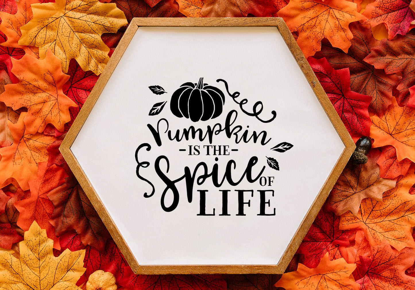 Fall Pumpkin Quote SVG Bundle | 25 Pack