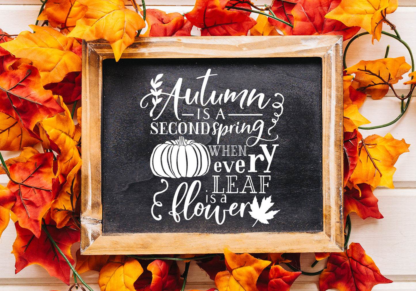Fall Pumpkin Quote SVG Bundle | 25 Pack