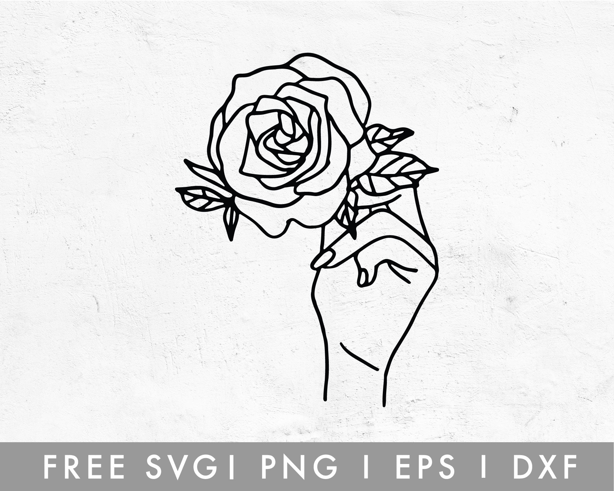 FREE Rose SVG Cut File for Cricut, Cameo Silhouette – Caluya Design