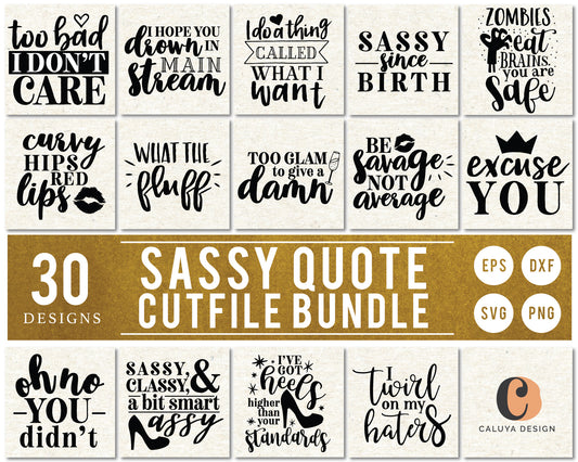 Sassy Quote SVG Bundle | 30 Pack