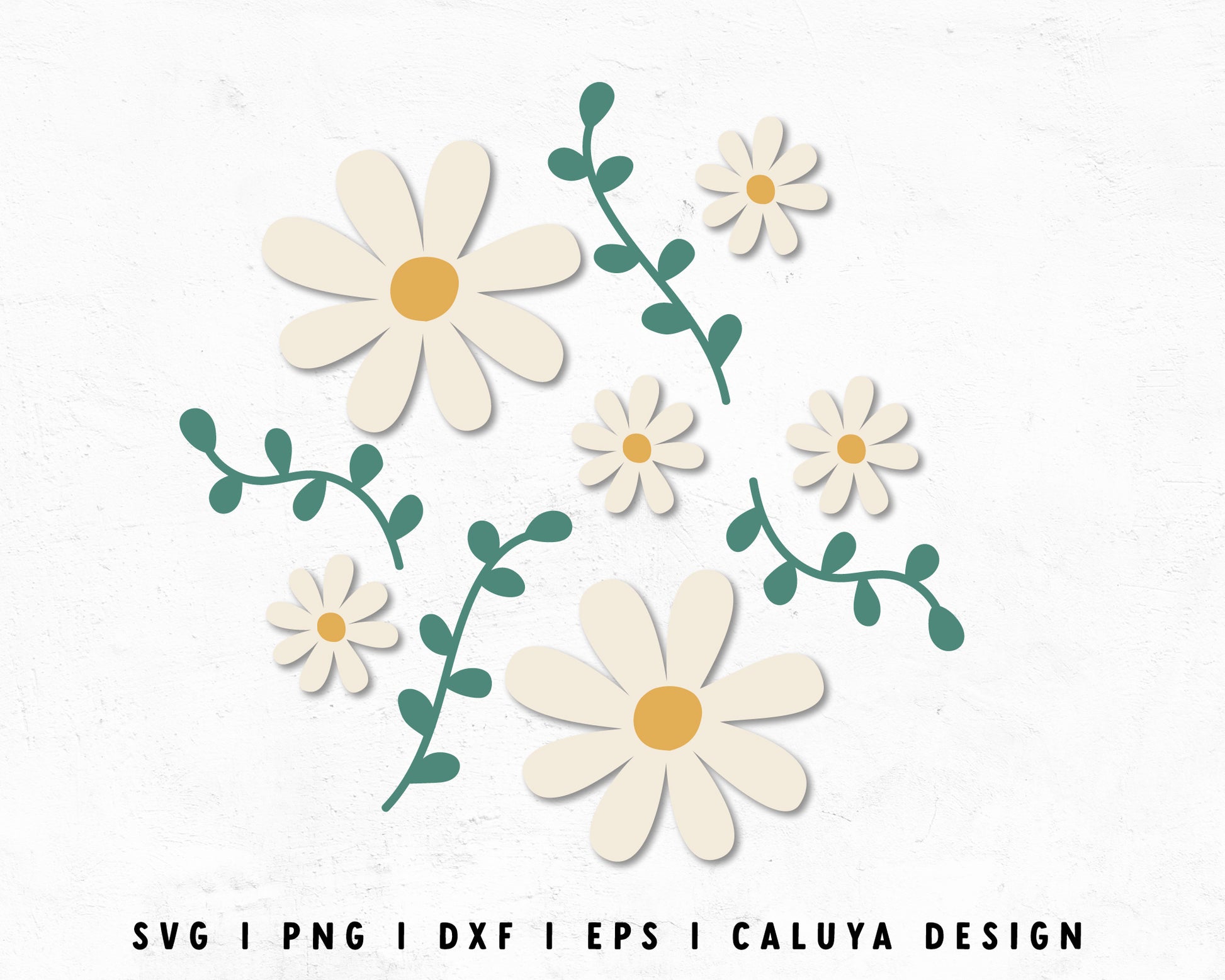 FREE Daisy SVG | Botanical Clipart SVG Cut File for Cricut, Cameo Silhouette | Free SVG Cut File
