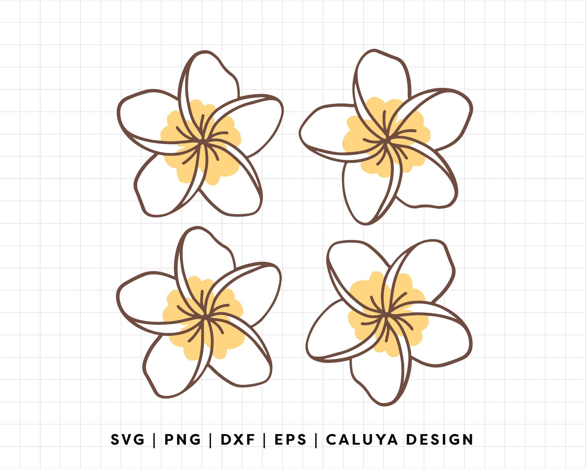 FREE Plumeria Flower SVG | Tropical Flower SVG