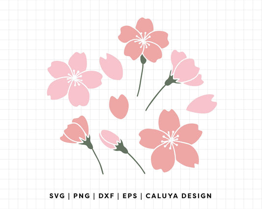FREE Sakura SVG | Cherry Blossom SVG