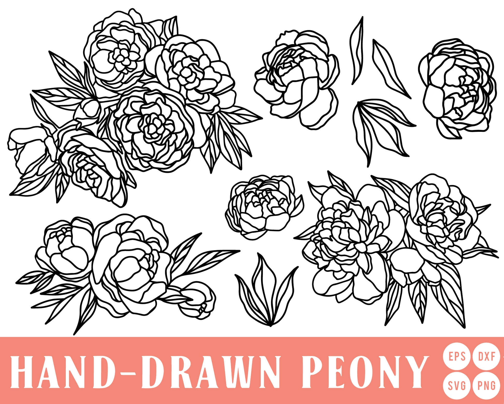 Hand-drawn Peony SVG Mini Bundle Cut File for Cricut, Cameo Silhouette | Floral, Spring Cut File