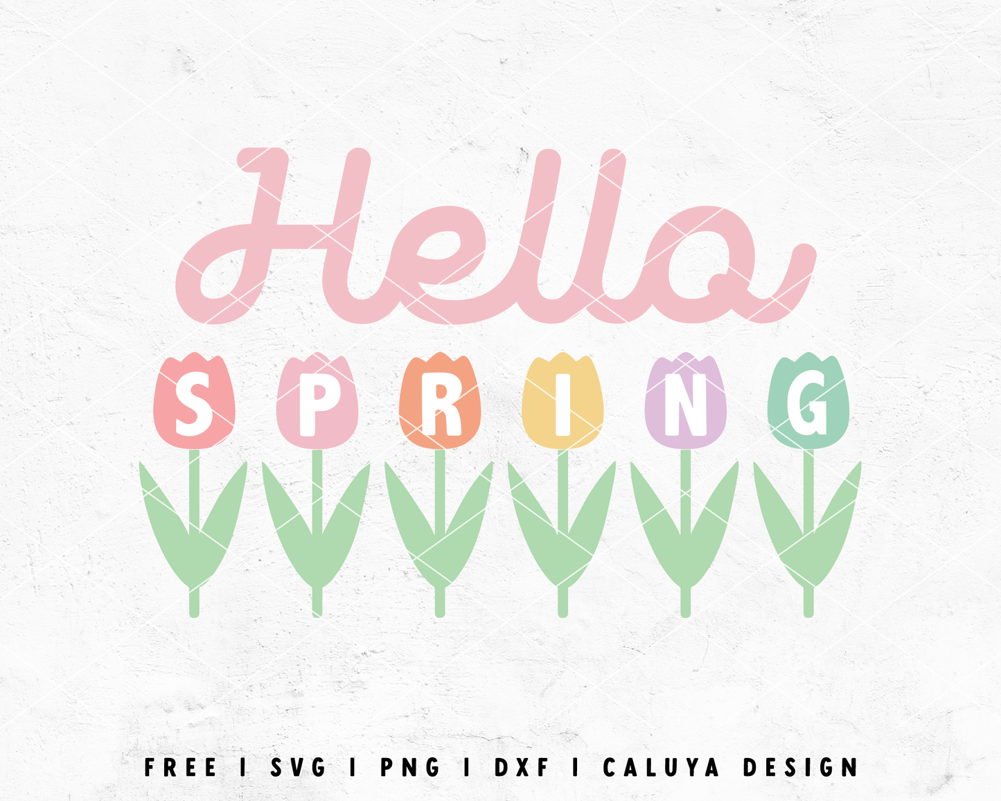 FREE Hello Spring SVG | Tulip SVG Cut File for Cricut, Cameo Silhouette | Free SVG Cut File