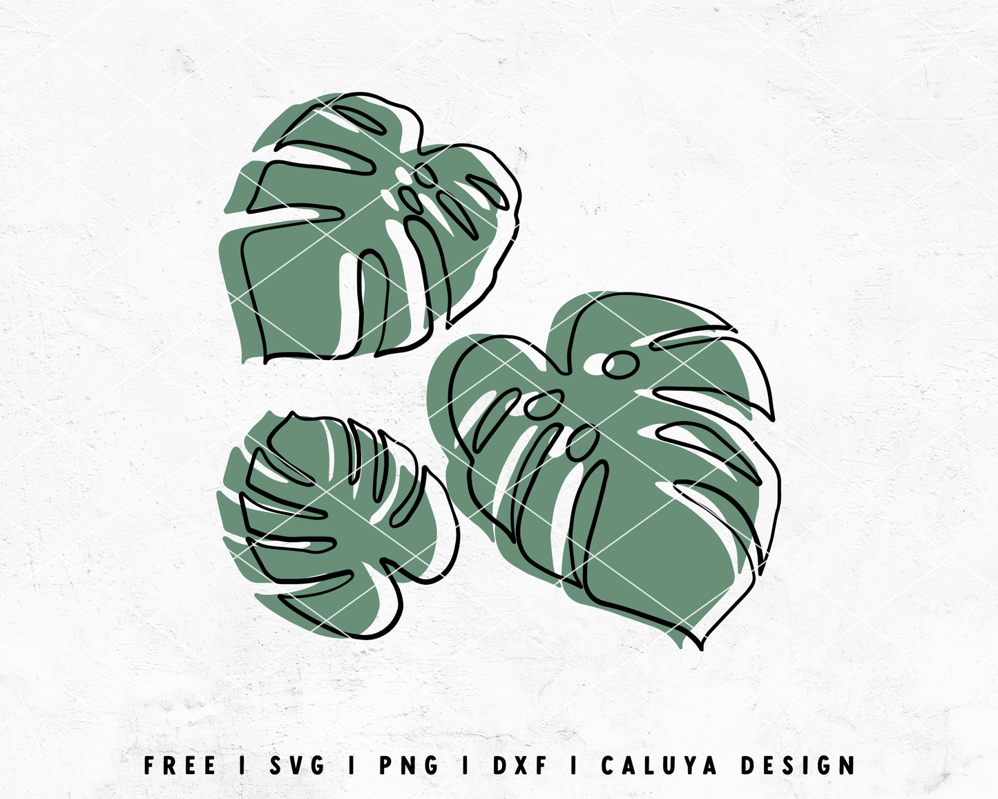 FREE Monstera SVG | House Plant SVG Cut File for Cricut, Cameo Silhouette | Free SVG Cut File
