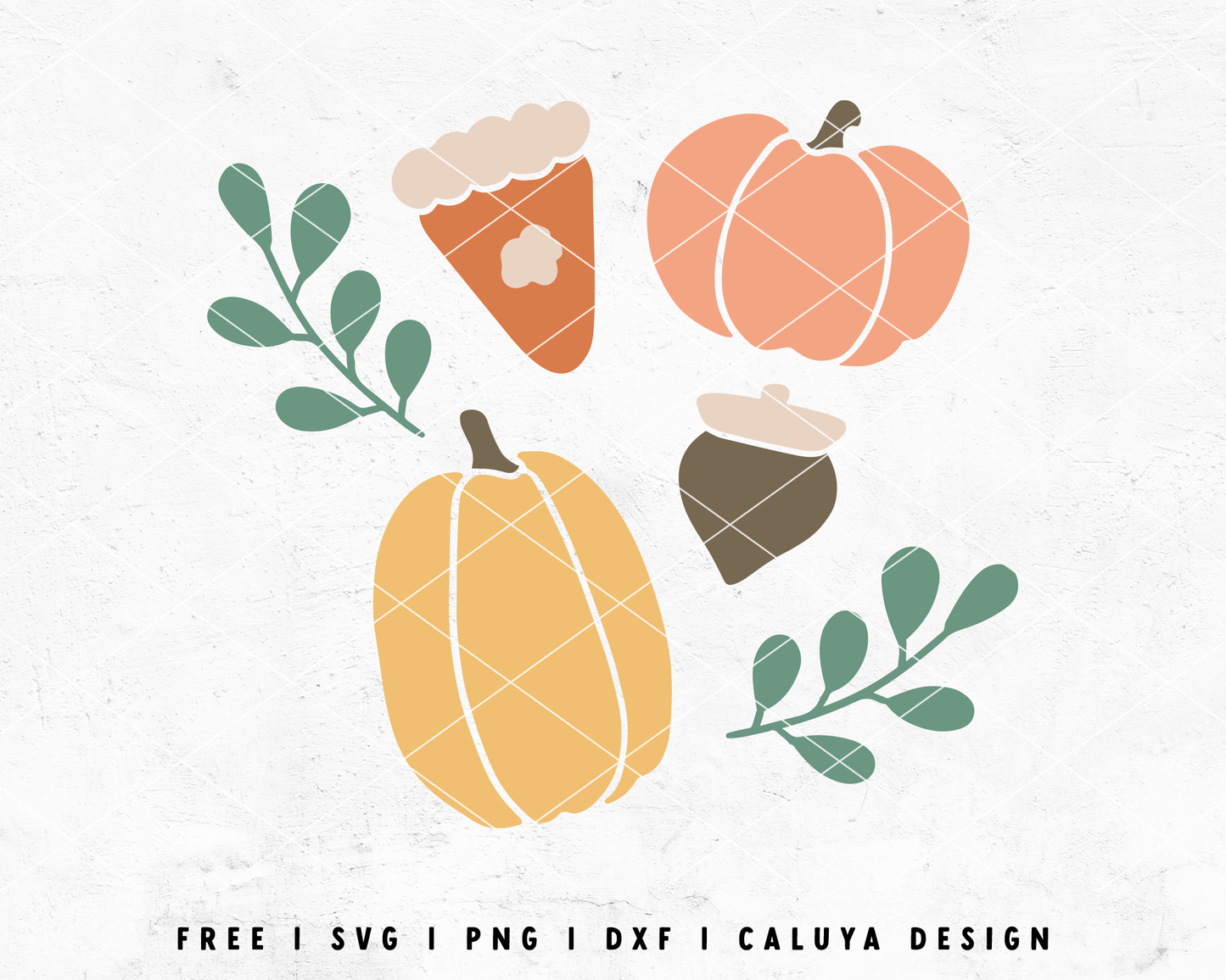 FREE Thanksgiving Set SVG | Pumpkin SVG | Acorn SVG