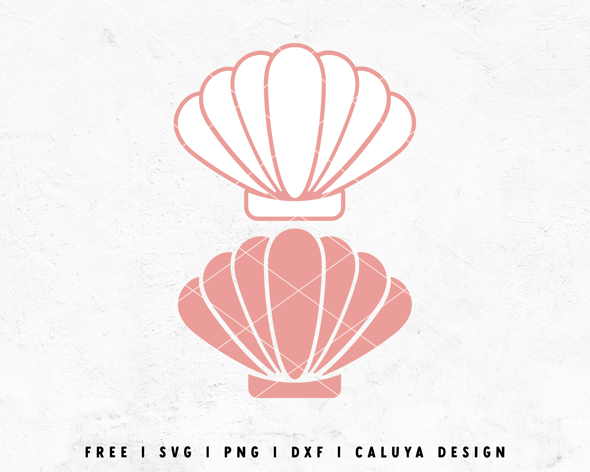 FREE Shell SVG | Beach SVG Cut File for Cricut, Cameo Silhouette ...