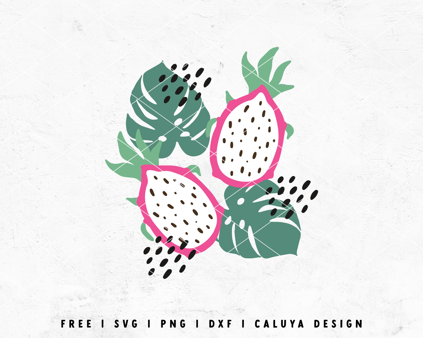 FREE Dragon Fruits SVG | Monstra SVG | Tropical SVG Cut File for Cricut, Cameo Silhouette | Free SVG Cut File