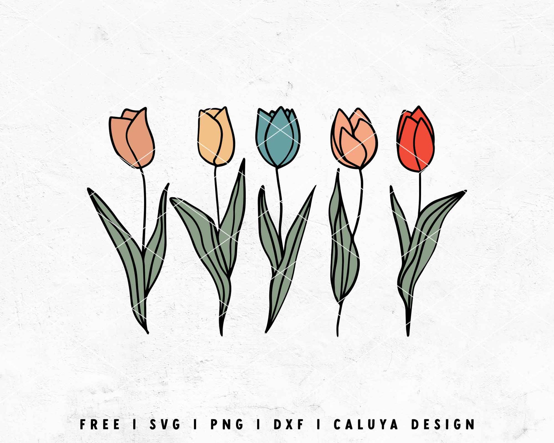 FREE Tulip SVG | Floral SVG | Flower SVG Cut File for Cricut, Cameo Silhouette | Free SVG Cut File