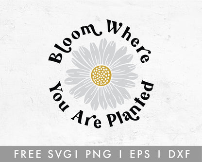 FREE Bloom Where You Planted SVG