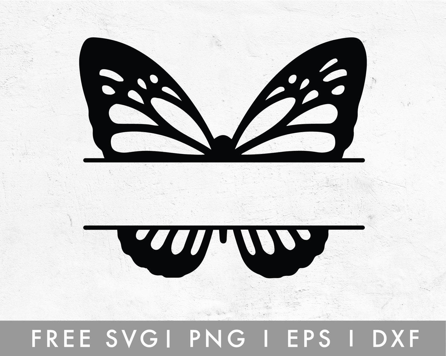 FREE Butterfly SVG | Split Monogram SVG