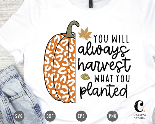 You Will Always Harvest What You Planted SVG