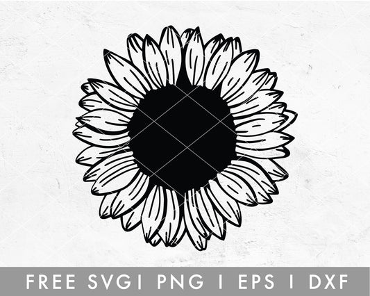 FREE Hand Drawn Sunflower SVG