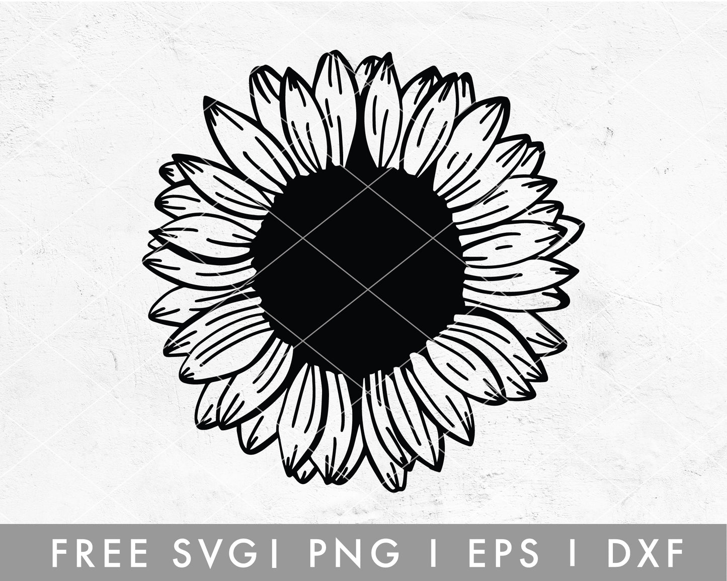 FREE Hand Drawn Sunflower SVG
