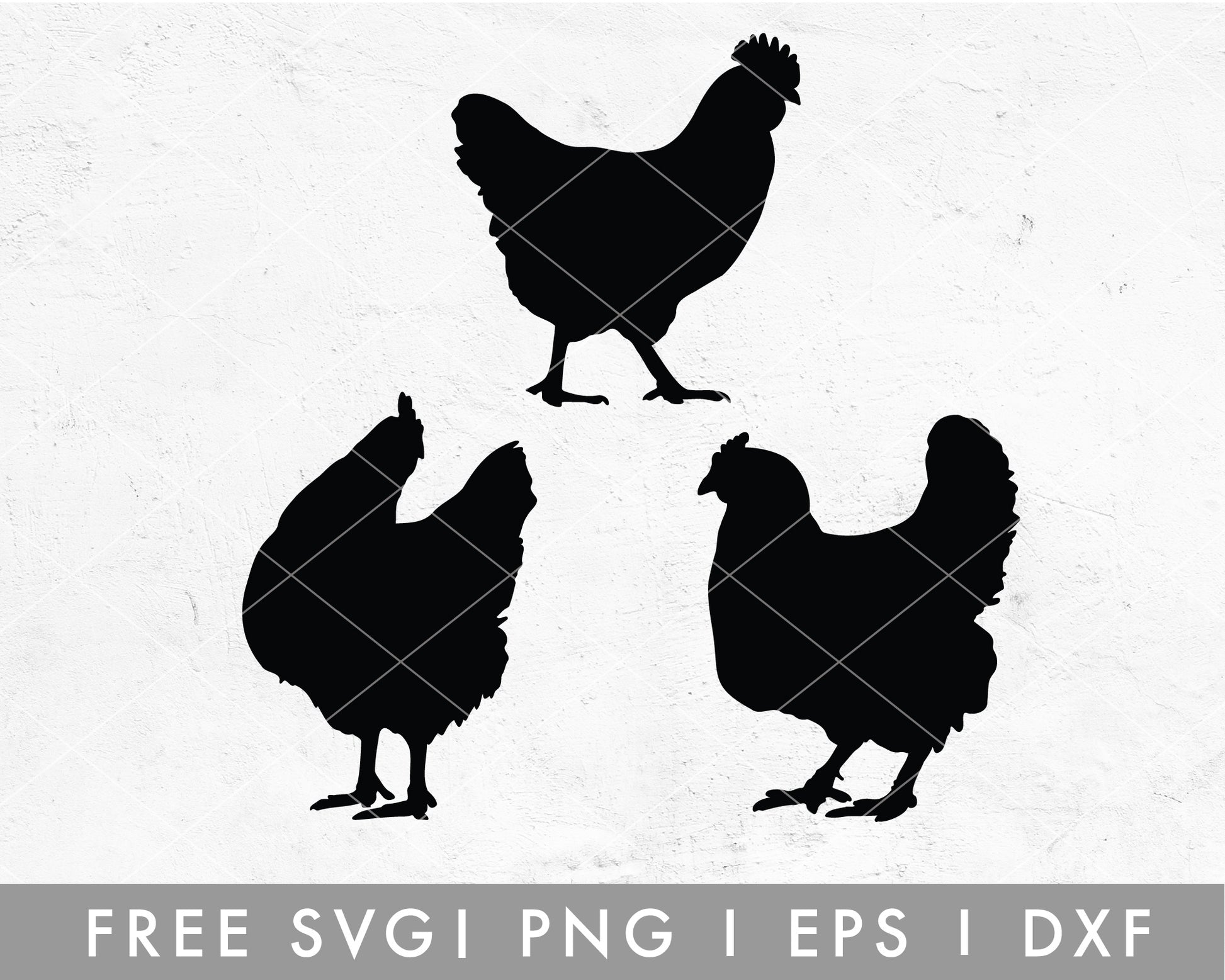 FREE Farmhouse Chicken SVG Cut File for Cricut, Cameo Silhouette | Free SVG, PNG, Vector