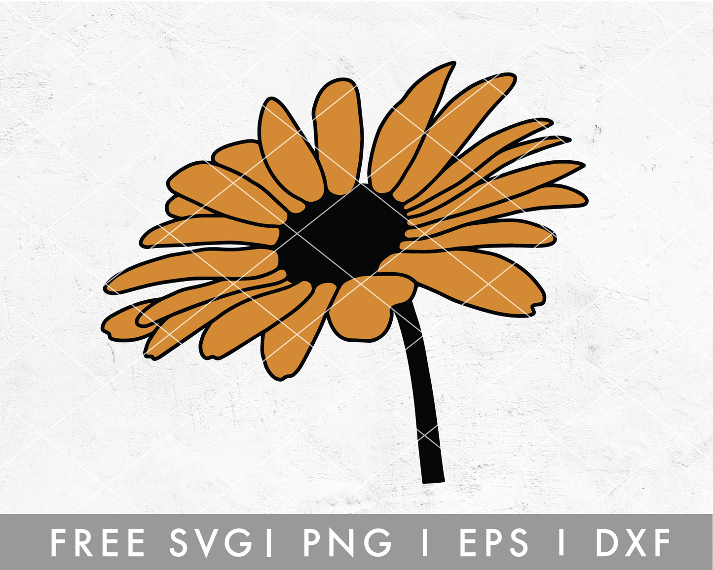 FREE Daisy SVG Cut File for Cricut, Cameo Silhouette | Free SVG Cut File