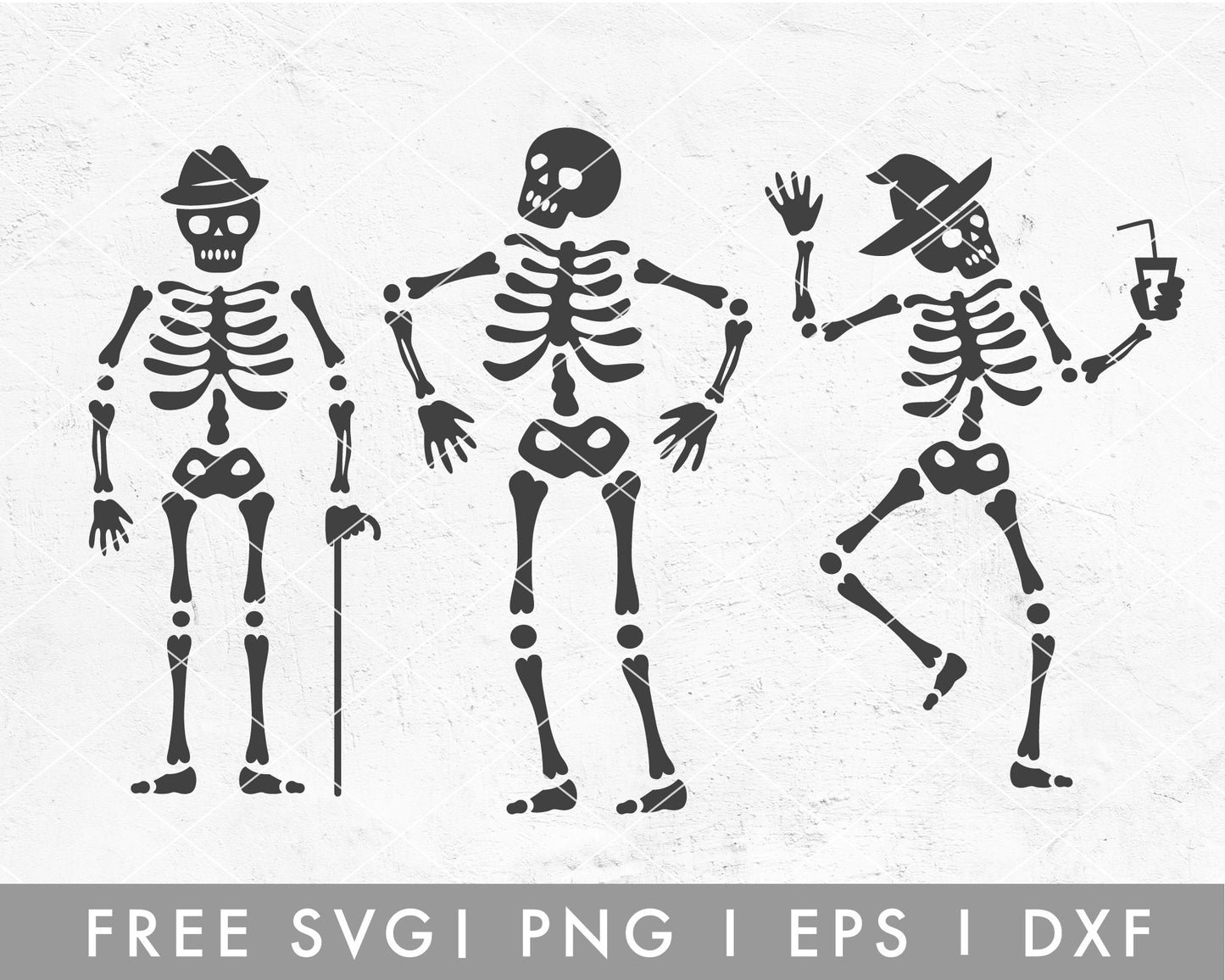 FREE Skeleton Set SVG Cut File for Cricut, Cameo Silhouette | Halloween SVG Cut File