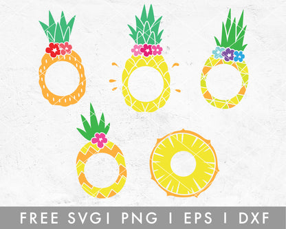 FREE Pineapple SVG | Pineapple Monogram Cut File for Cricut, Cameo Silhouette | Free SVG Cut File