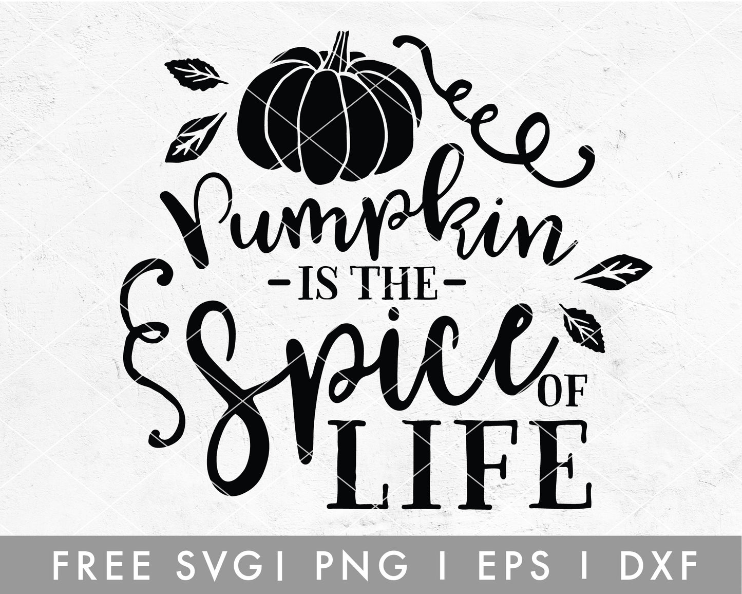 FREE Pumpkin Spice Quote SVG