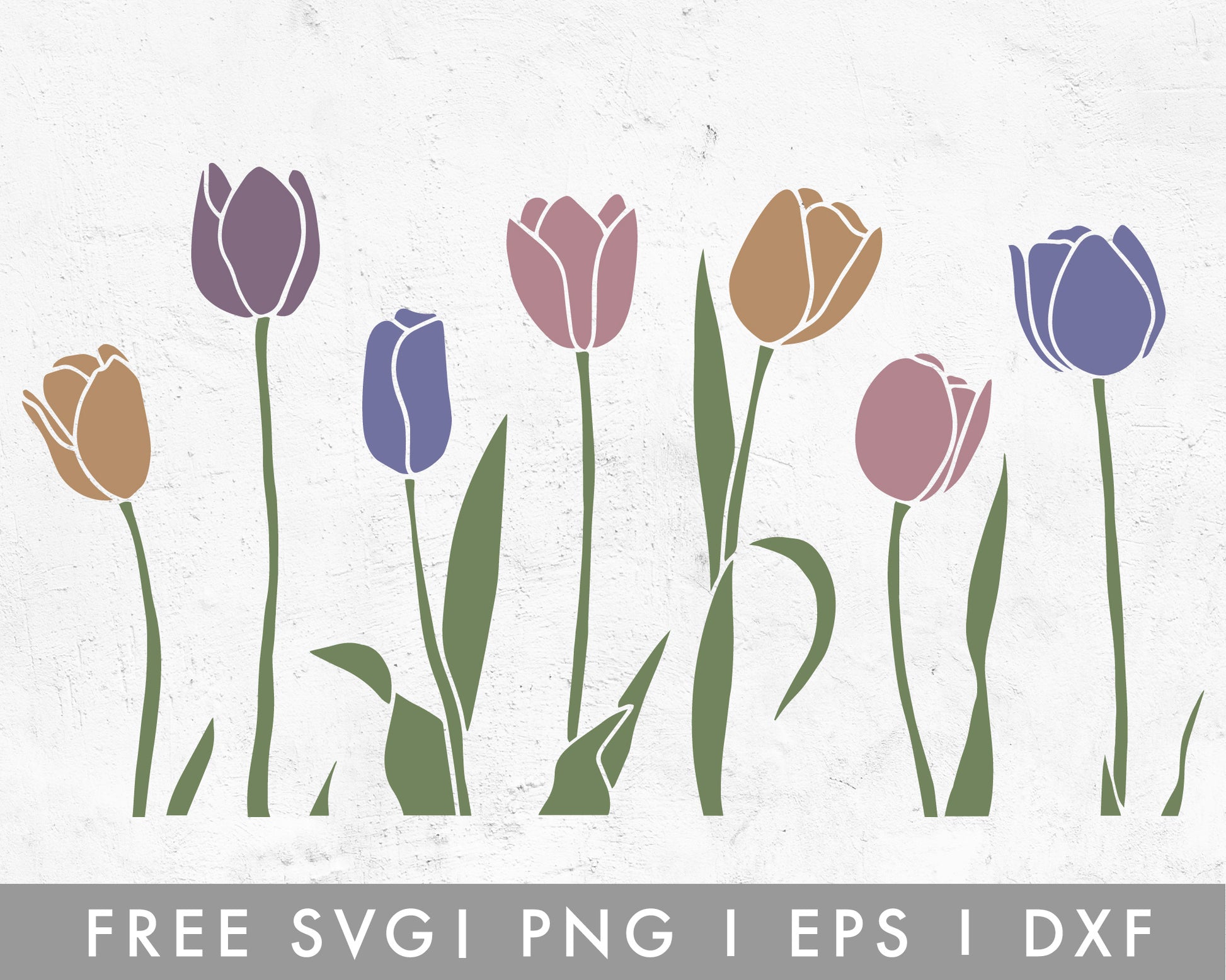 FREE Tulip Solid SVG Cut File for Cricut, Cameo Silhouette | Free SVG Cut File