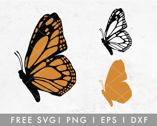 FREE Layered Butterfly Sideview SVG