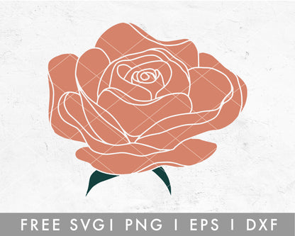 Handdrawn Rose SVG Cut File for Cricut, Cameo Silhouette | Free SVG Rose Flower