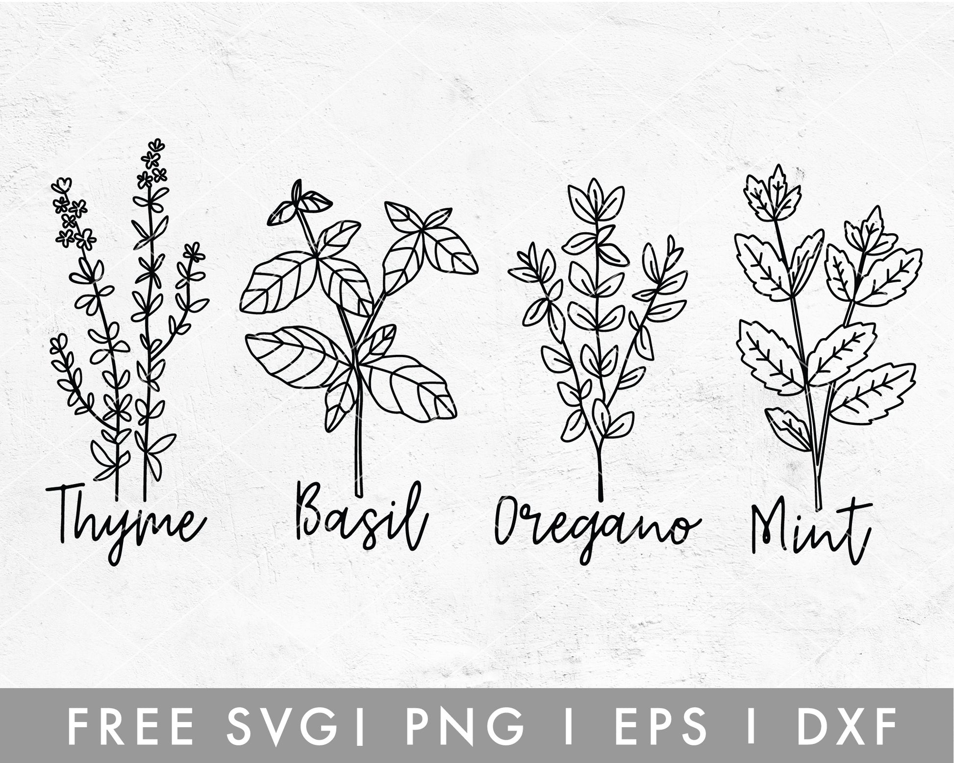 FREE Herbs SVG Cut File for Cricut, Cameo Silhouette | Free SVG, PNG, Vector
