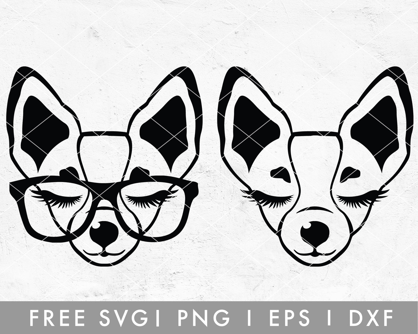 FREE FREE Animal Face SVG | Chihuahua SVG Cut File for Cricut, Cameo Silhouette | Free SVG Cut File