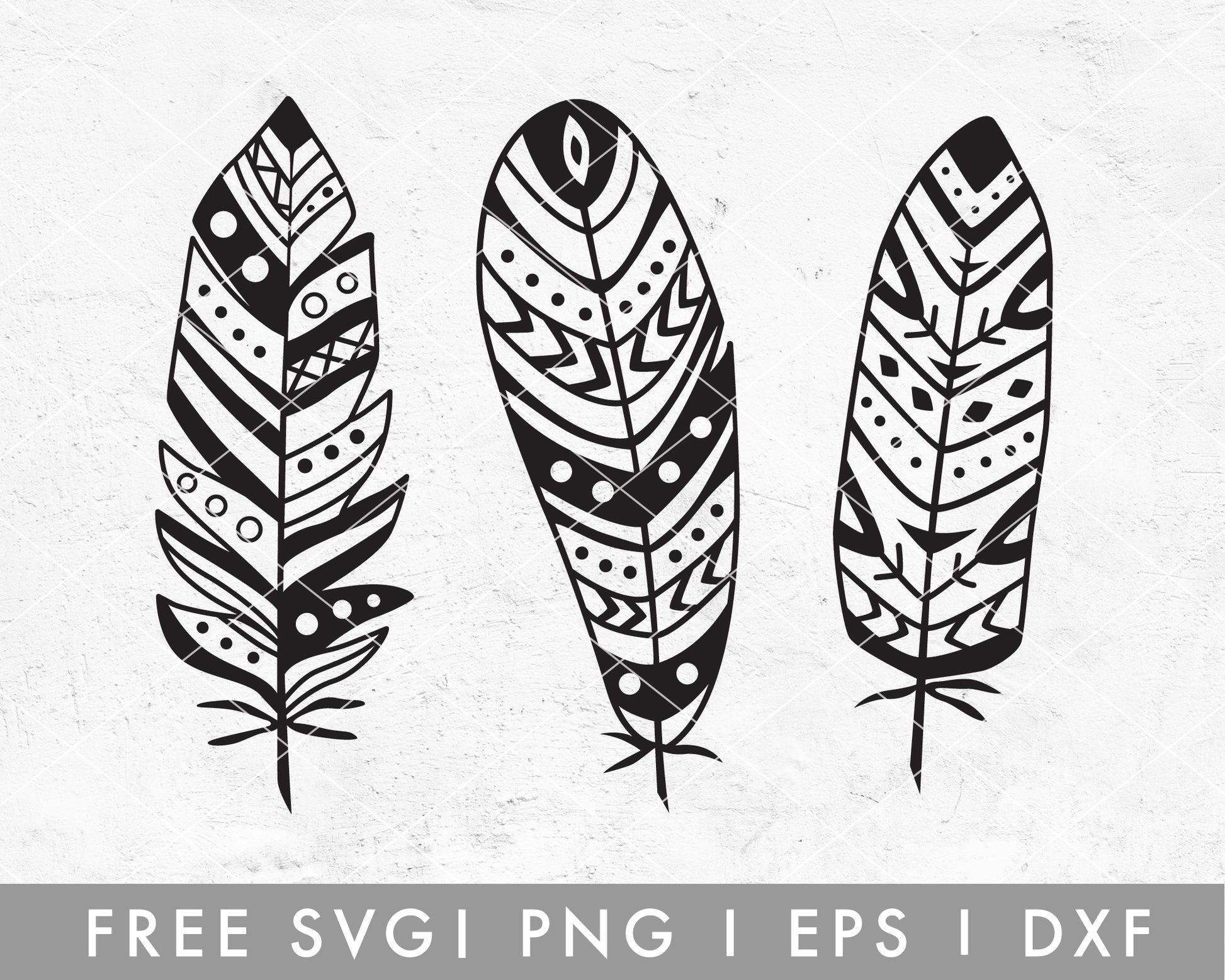 FREE Feather SVG | Boho Style Cut File for Cricut, Cameo Silhouette | Free SVG Cut File