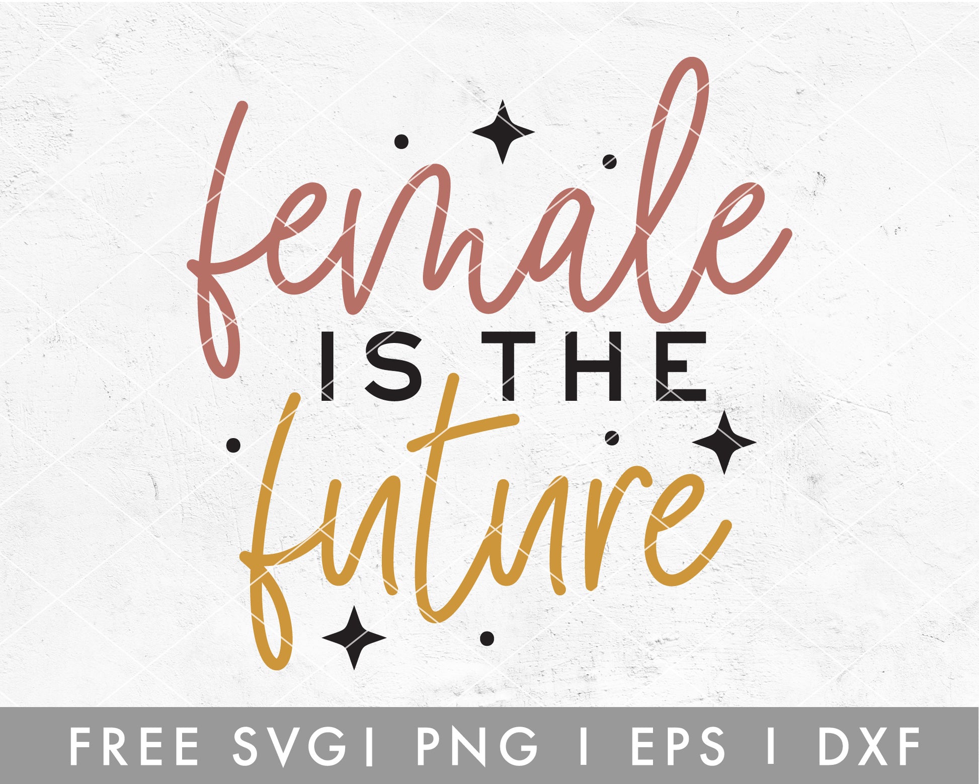 FREE Female Is The Future SVG File for Cricut, Cameo Silhouette | Free SVG Cut File