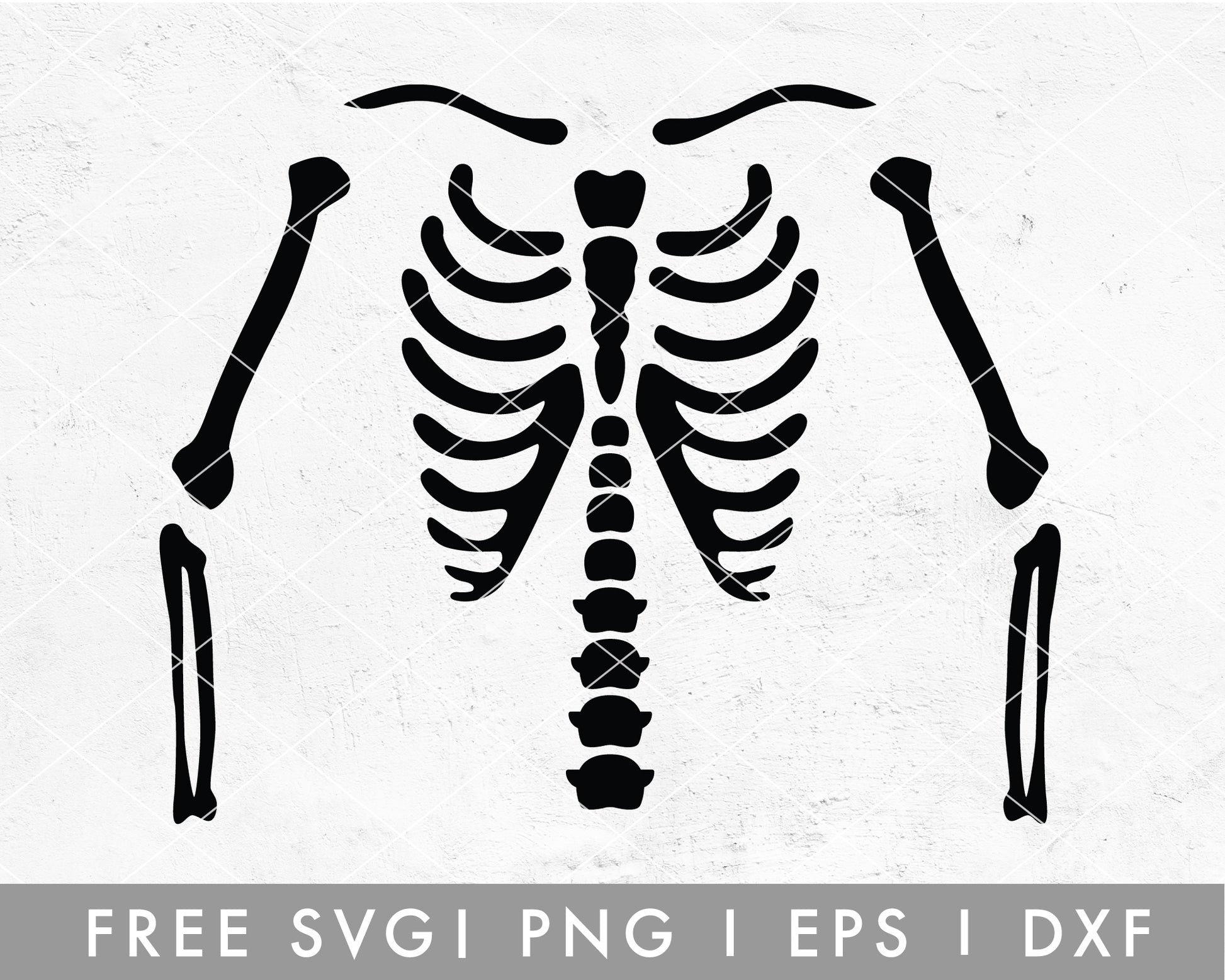FREE Skeleton T-shirt Making SVG Cut File for Cricut, Cameo Silhouette 